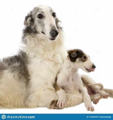 聯盟契約(手擼無限代幣)加盟費的成功案例分享